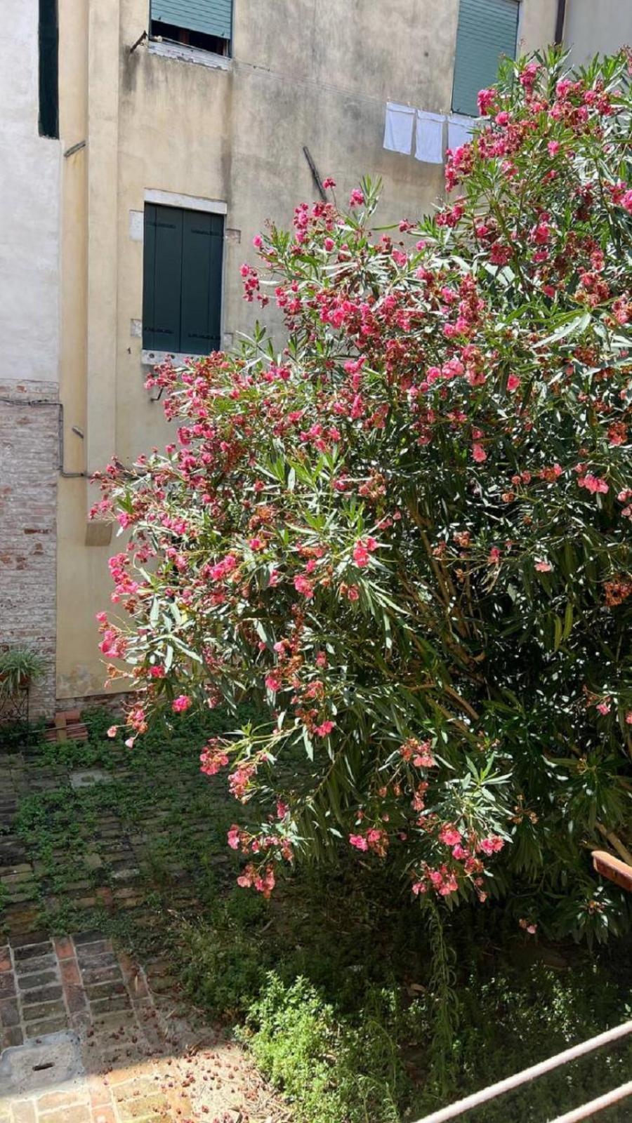 Ania Apartment Venecia Exterior foto